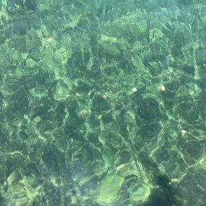 Meet your Posher, Patrick